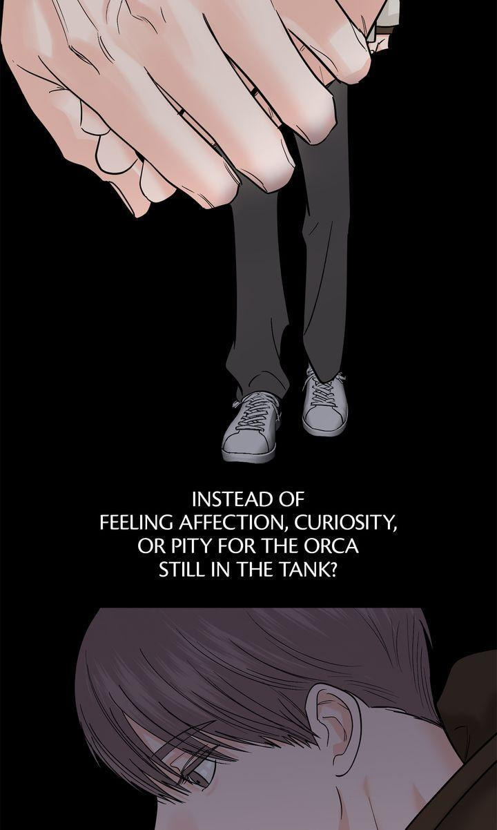 Read Killer Whale Protocol chapter 36 image 67 on Lezhin