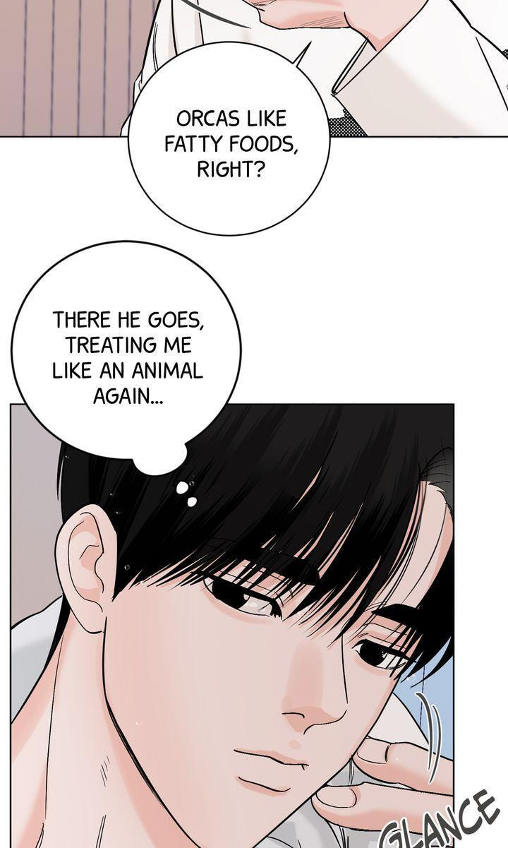 Read Killer Whale Protocol chapter 37 image 80 on Lezhin