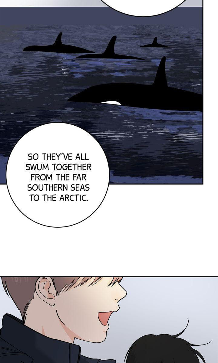 Read Killer Whale Protocol chapter 40 image 38 on Lezhin