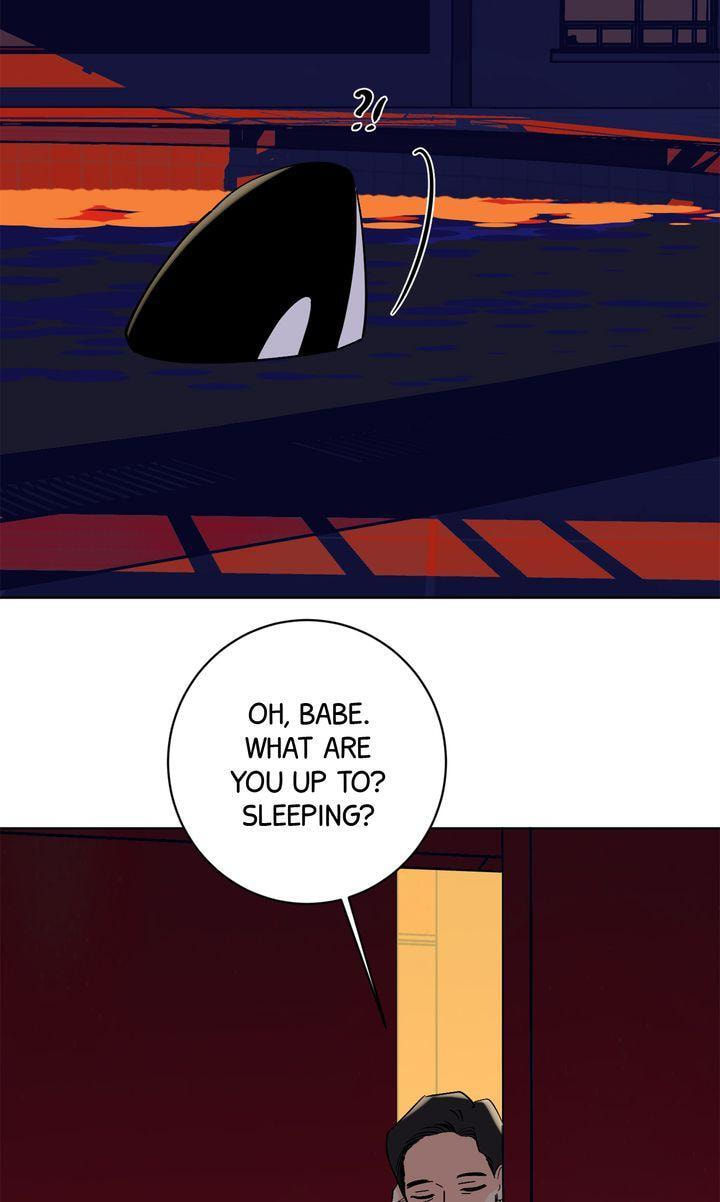Read Killer Whale Protocol chapter 42 image 8 on Lezhin