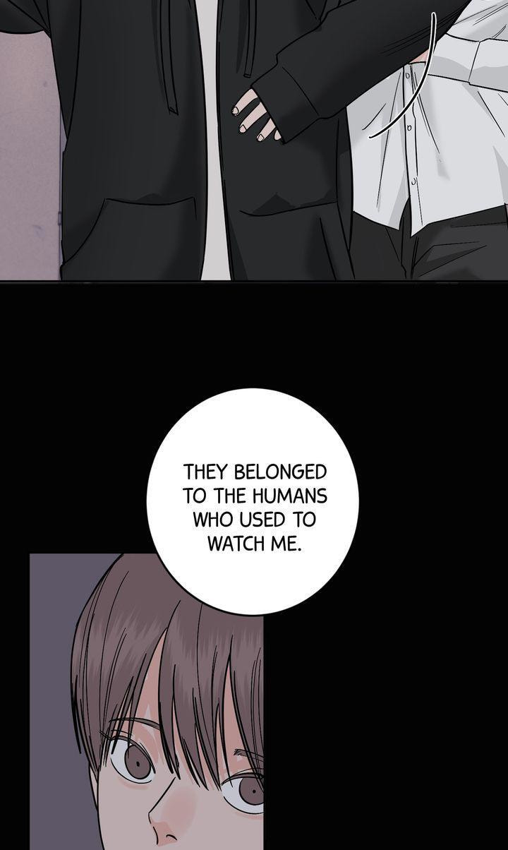 Read Killer Whale Protocol chapter 43 image 65 on Lezhin