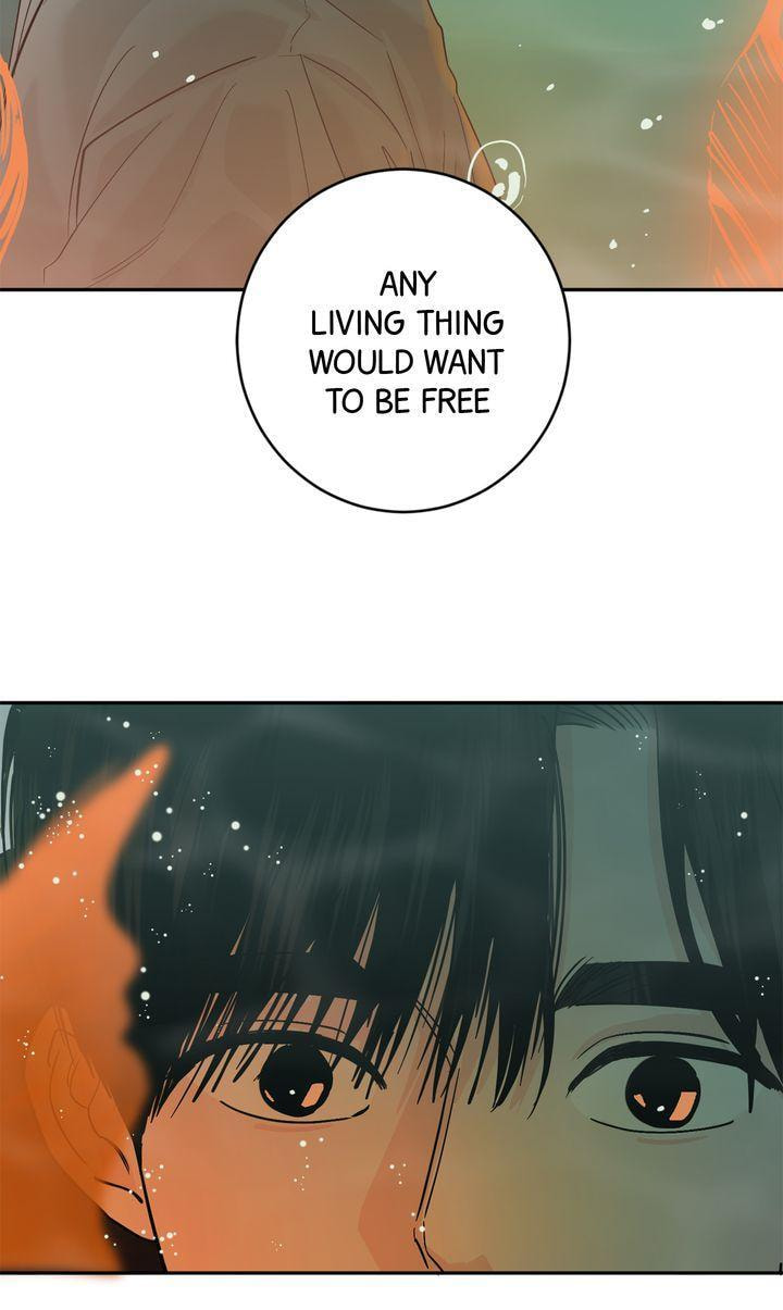 Read Killer Whale Protocol chapter 44 image 85 on Lezhin