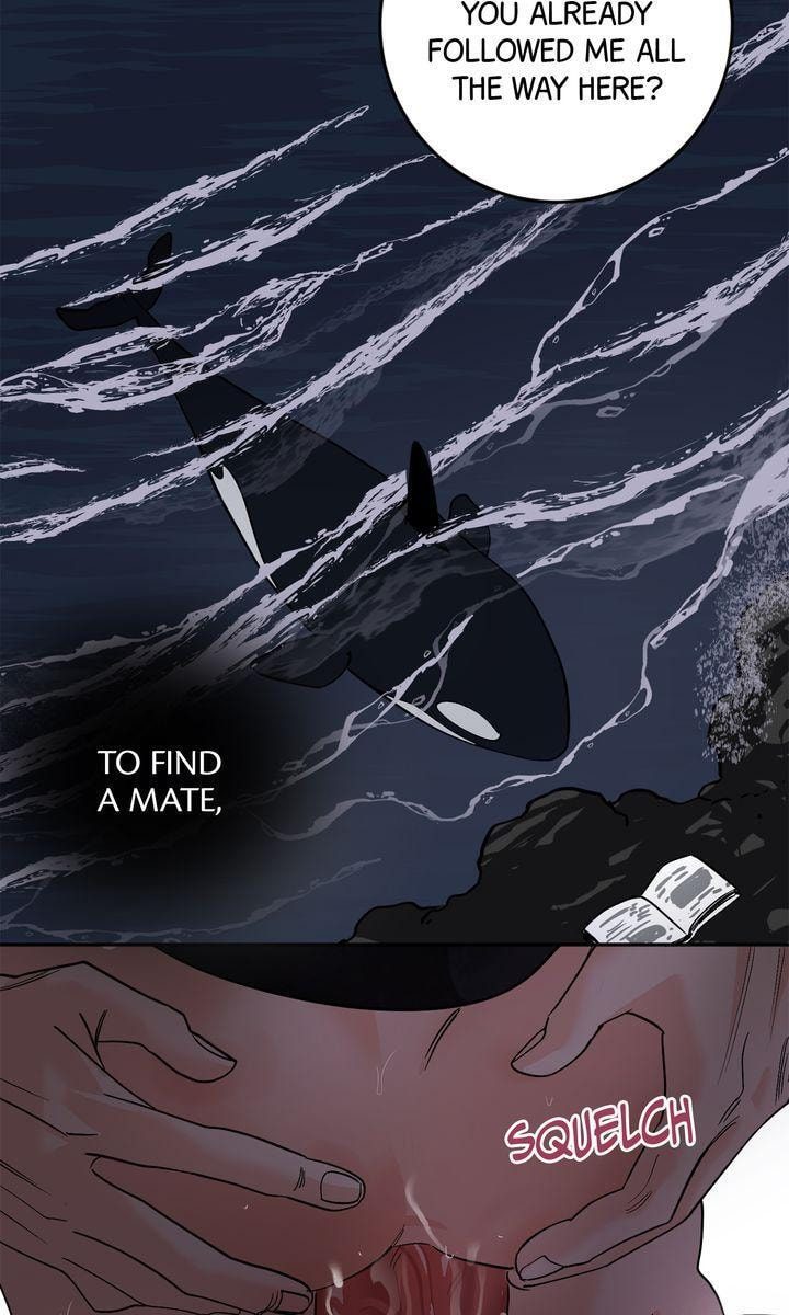 Read Killer Whale Protocol chapter 49 image 26 on Lezhin