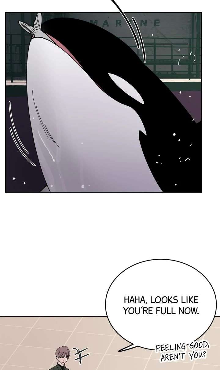 Read Killer Whale Protocol chapter 5 image 18 on Lezhin