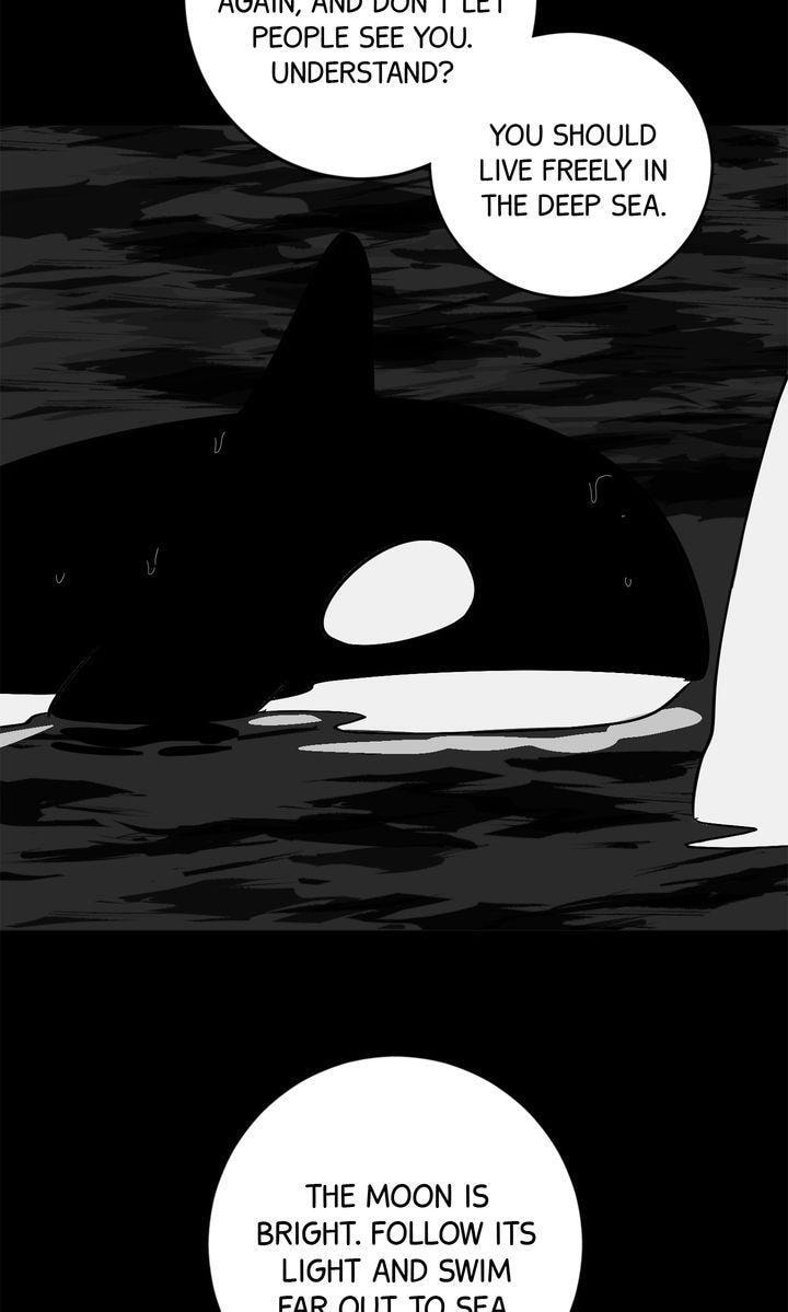Read Killer Whale Protocol chapter 51.5 image 35 on Lezhin