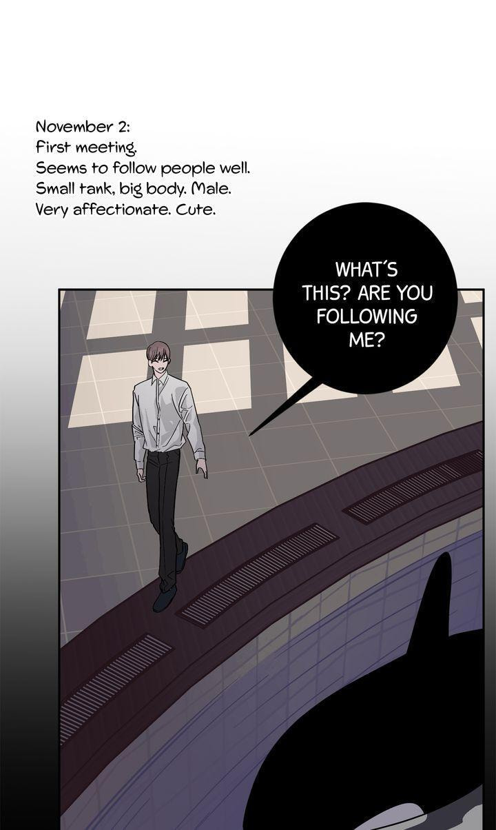 Read Killer Whale Protocol chapter 55 image 37 on Lezhin