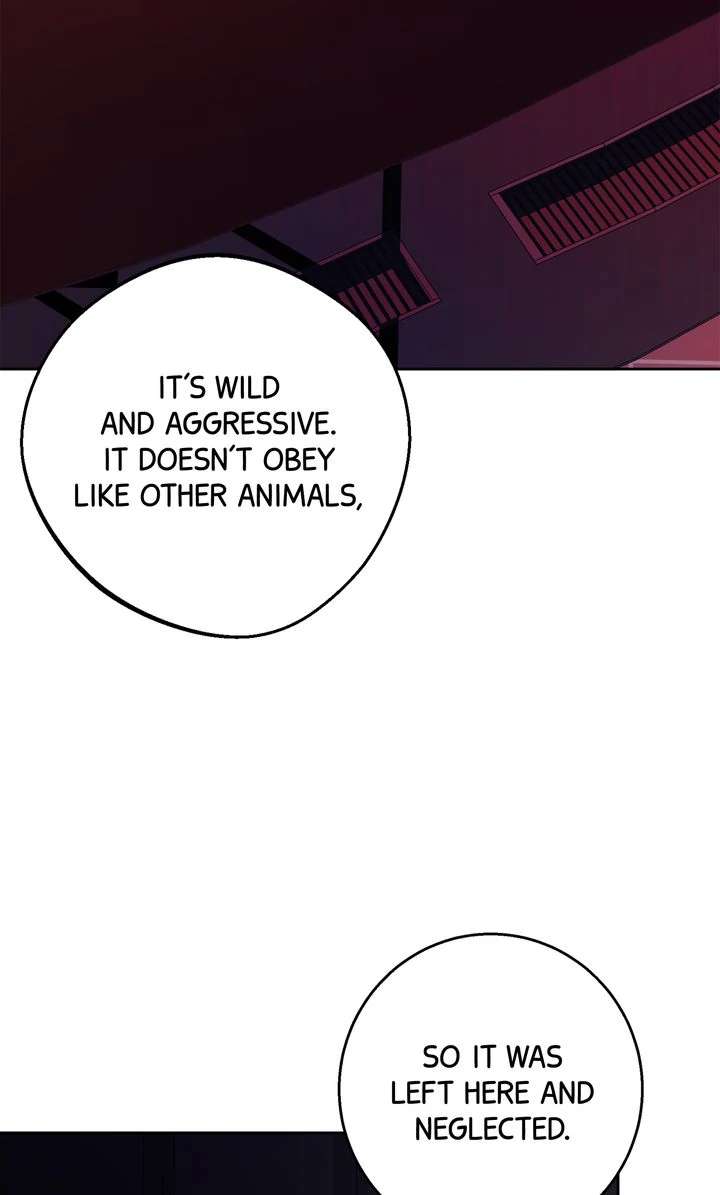 Read Killer Whale Protocol chapter 7 image 16 on Lezhin