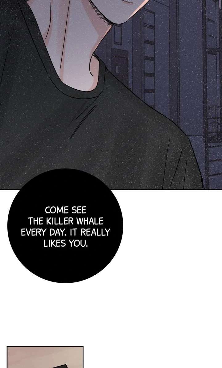 Read Killer Whale Protocol chapter 8 image 27 on Lezhin