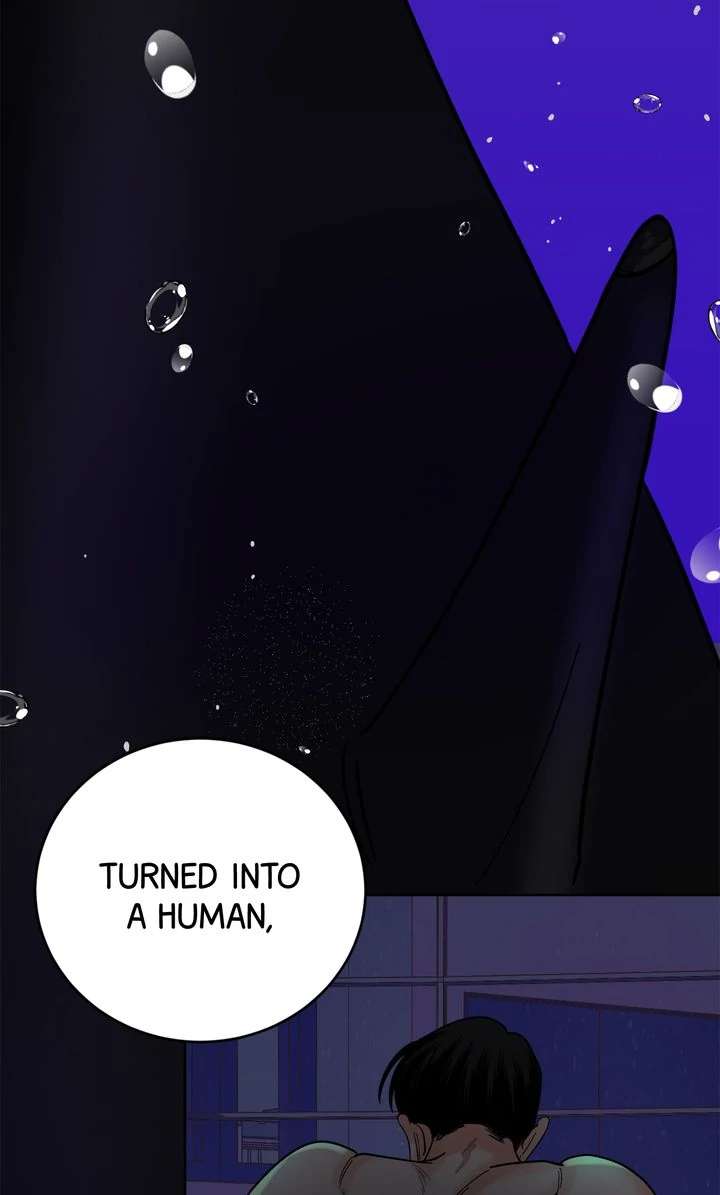 Read Killer Whale Protocol chapter 8 image 36 on Lezhin