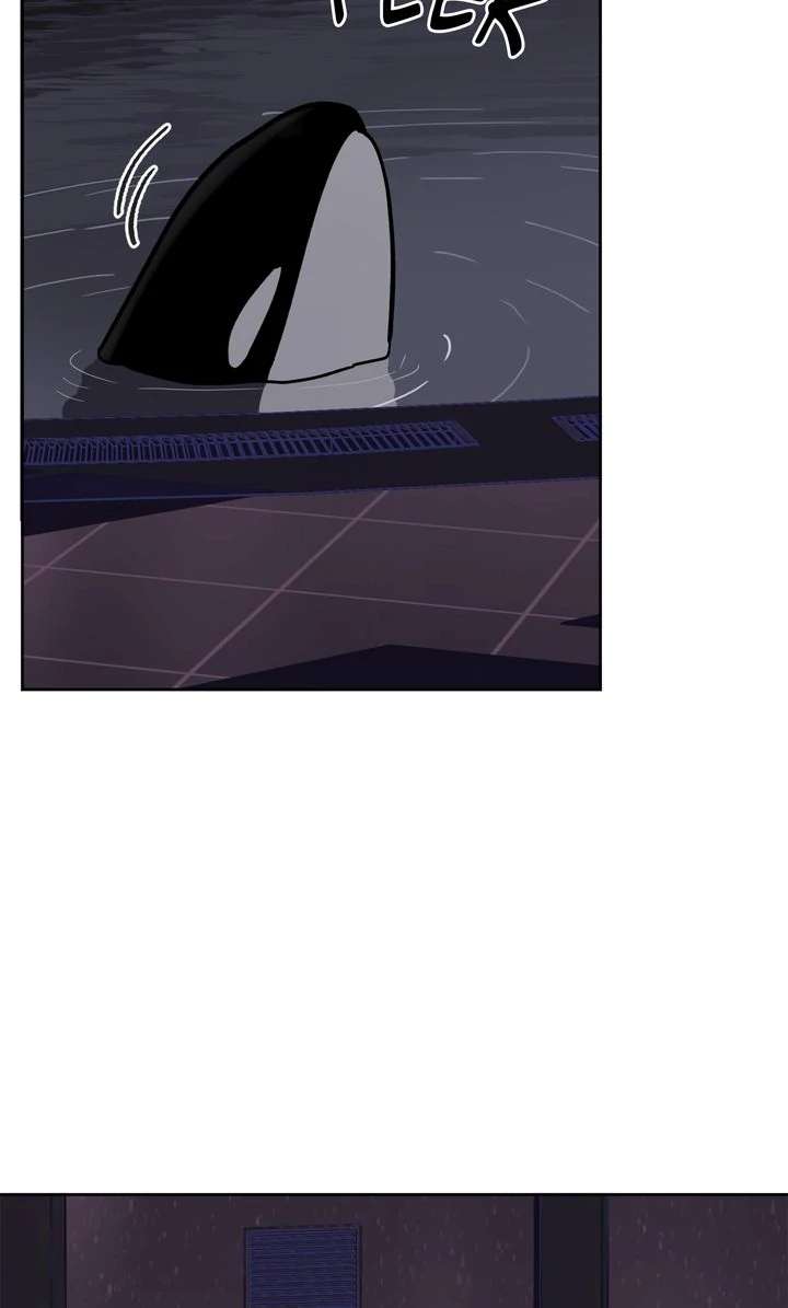 Read Killer Whale Protocol chapter 9 image 63 on Lezhin