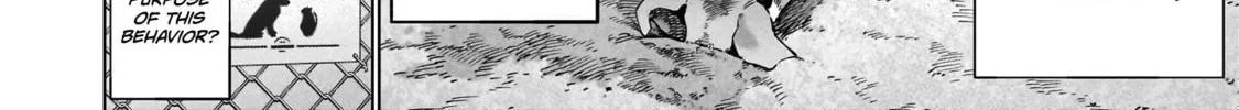Read Killing Bites chapter 109 image 45 on Lezhin
