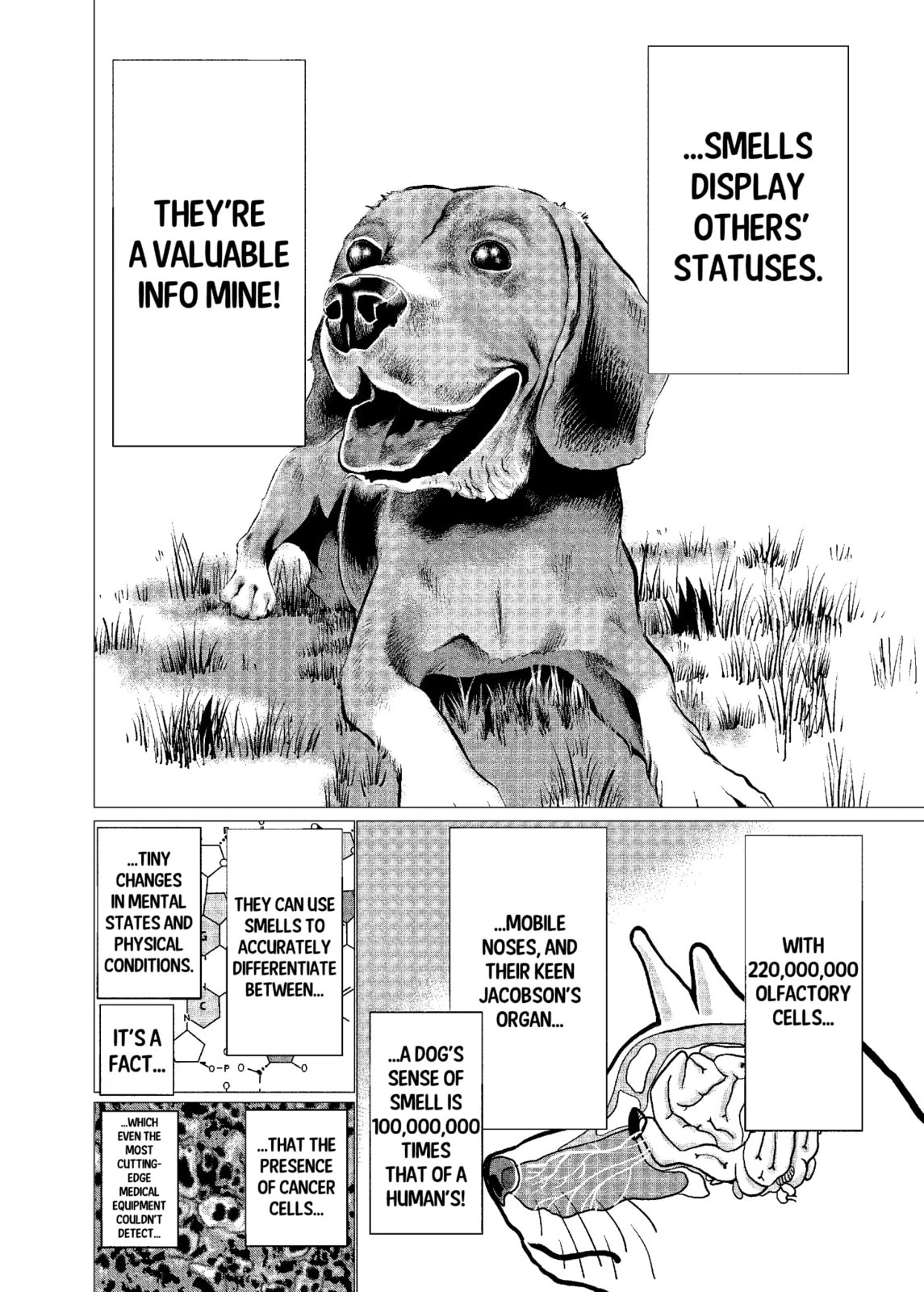 Read Killing Bites chapter 11.2 image 3 on Lezhin