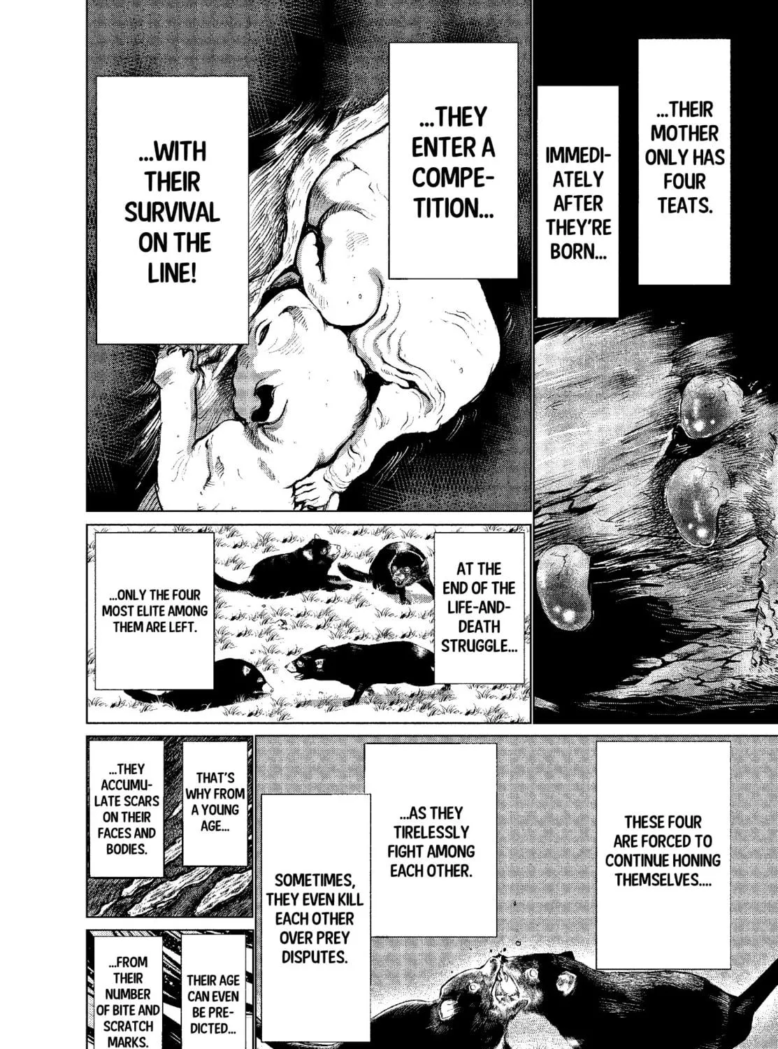 Read Killing Bites chapter 36 image 70 on Lezhin