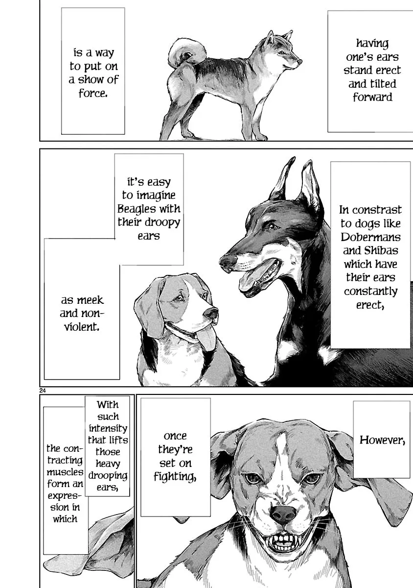 Read Killing Bites chapter 66 image 22 on Lezhin