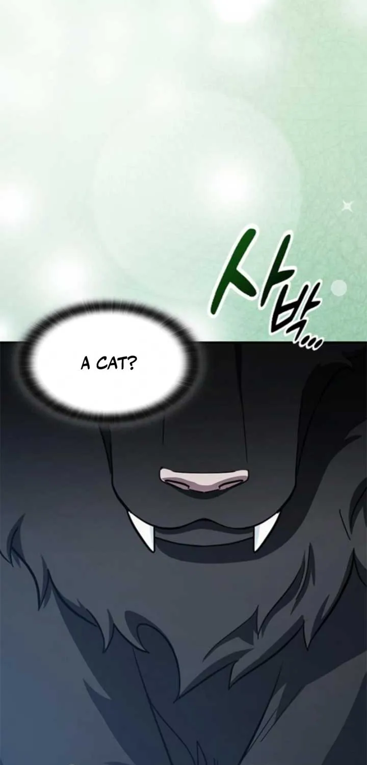 Kim Oh-jin and The Strange Beasts Chapter 28 page 48 - 