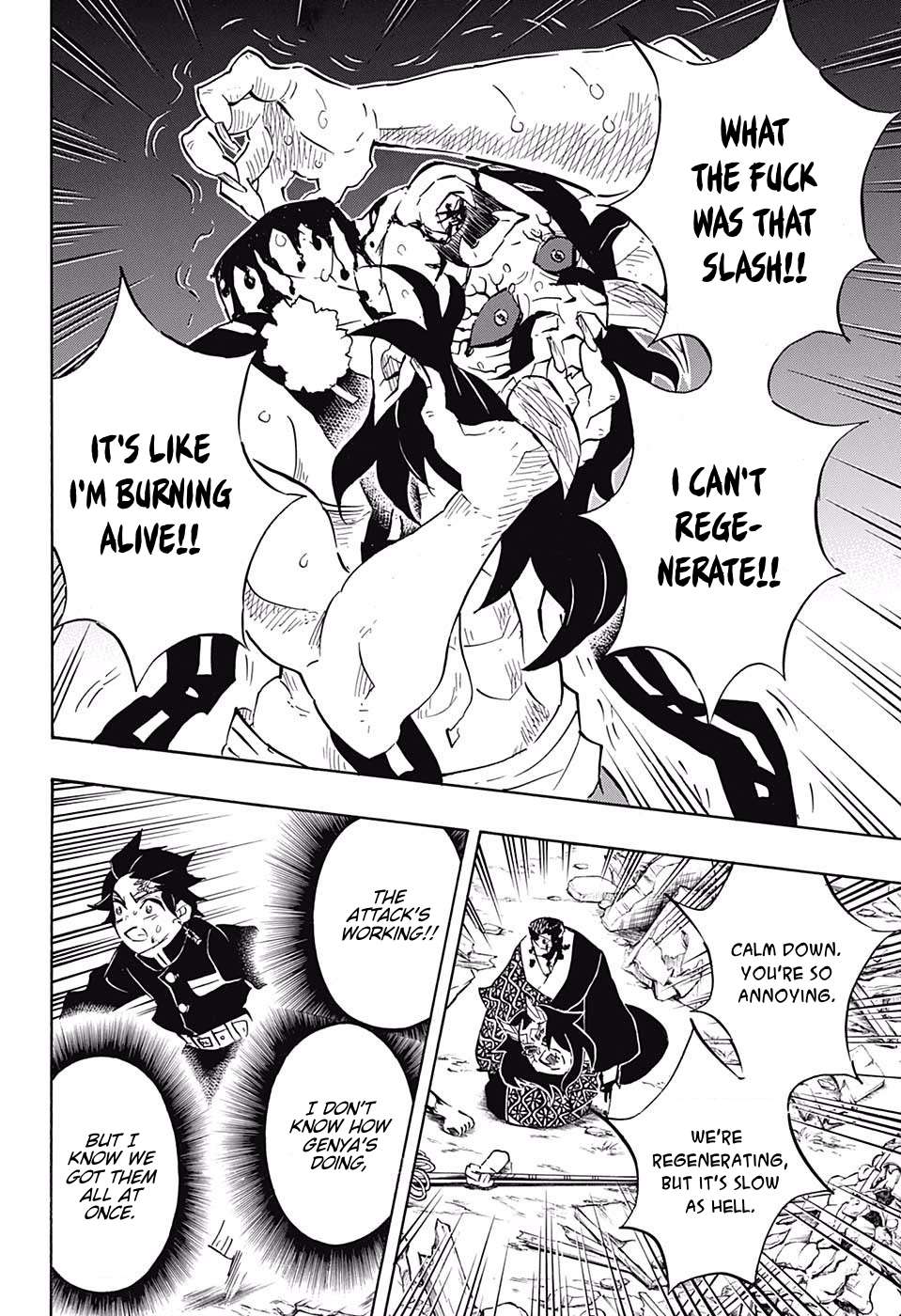 Read Kimetsu no Yaiba chapter 113 image 12 on Lezhin