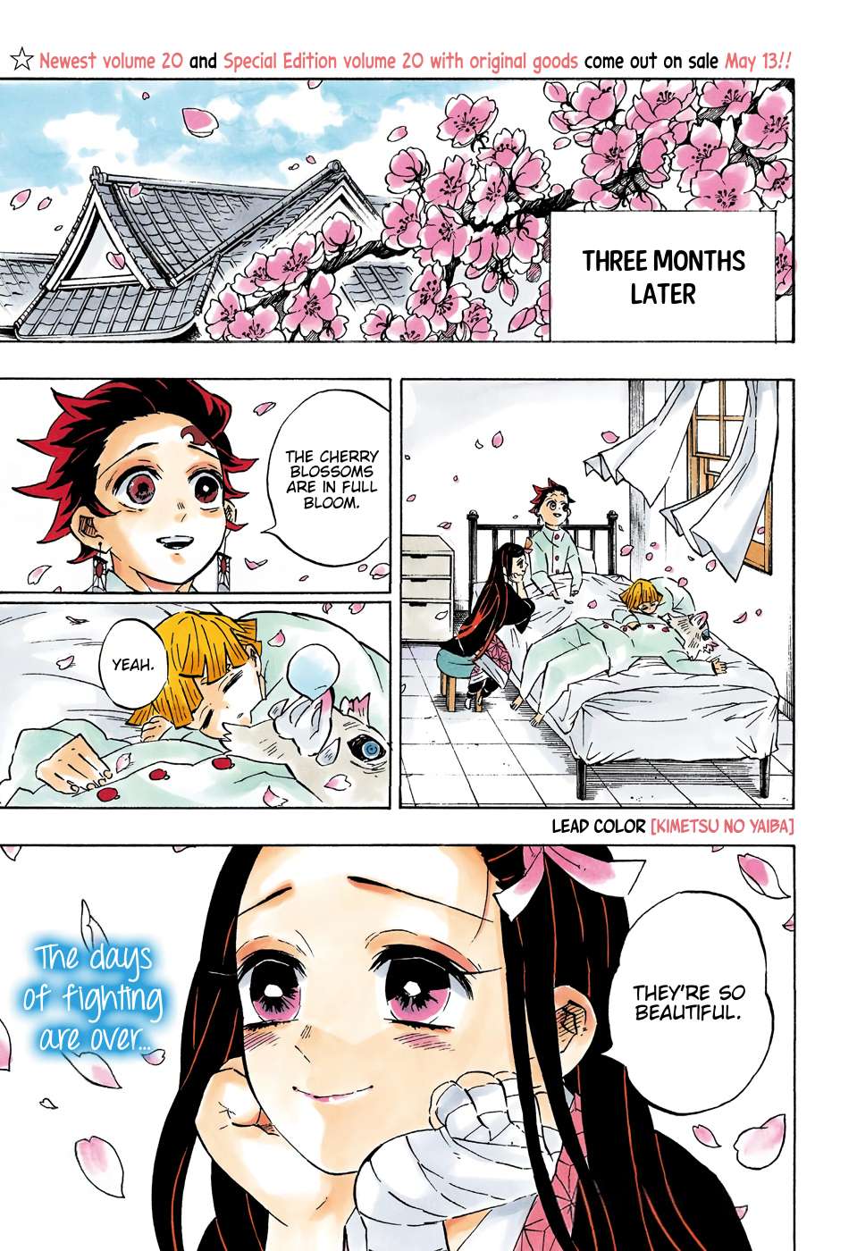 Read Kimetsu no Yaiba chapter 204 image 3 on Lezhin