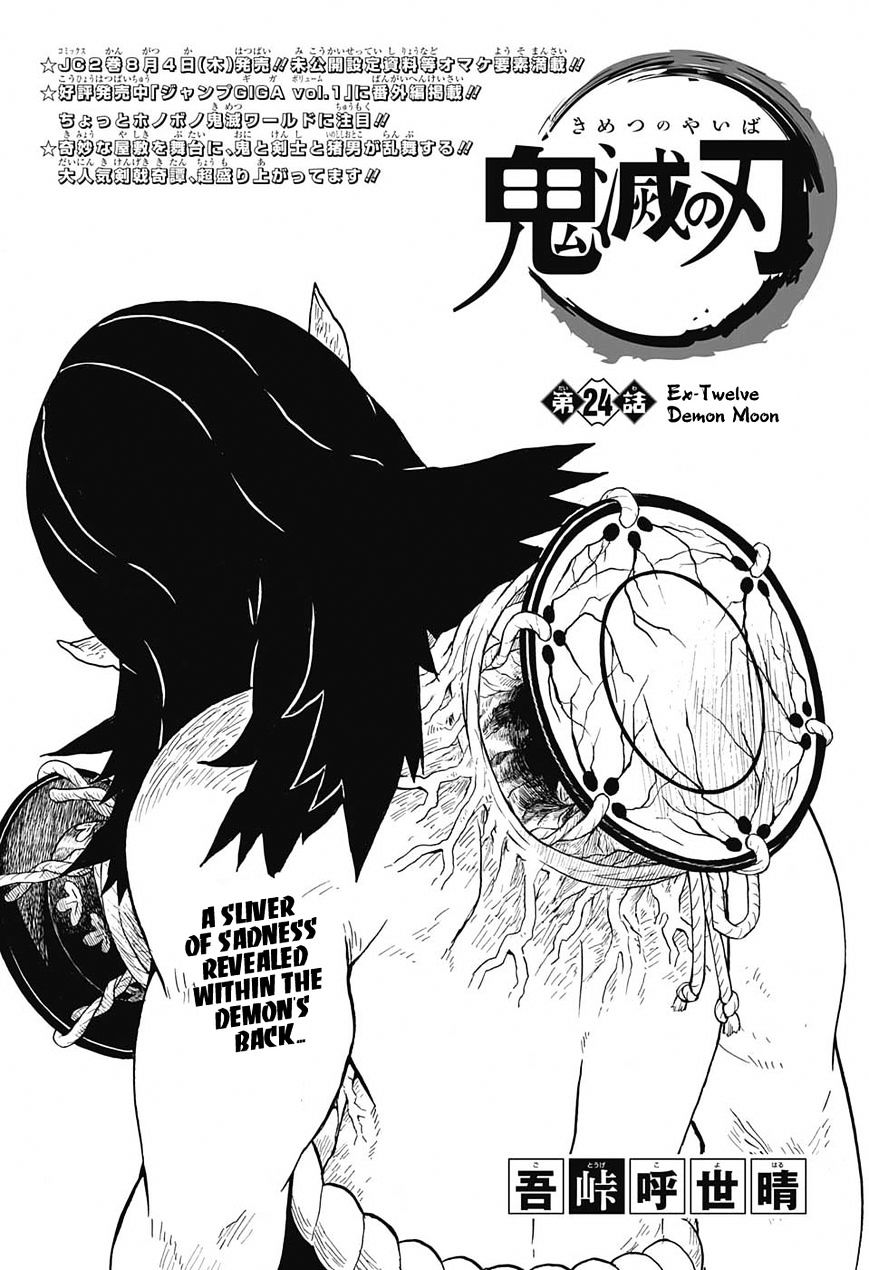 Read Kimetsu no Yaiba chapter 24 image 0 on Lezhin