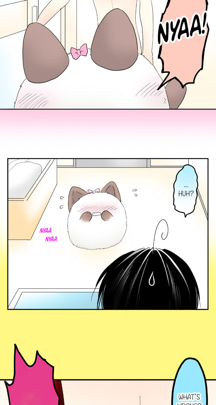 Read Kimi no Koe chapter 55 image 34 on Lezhin