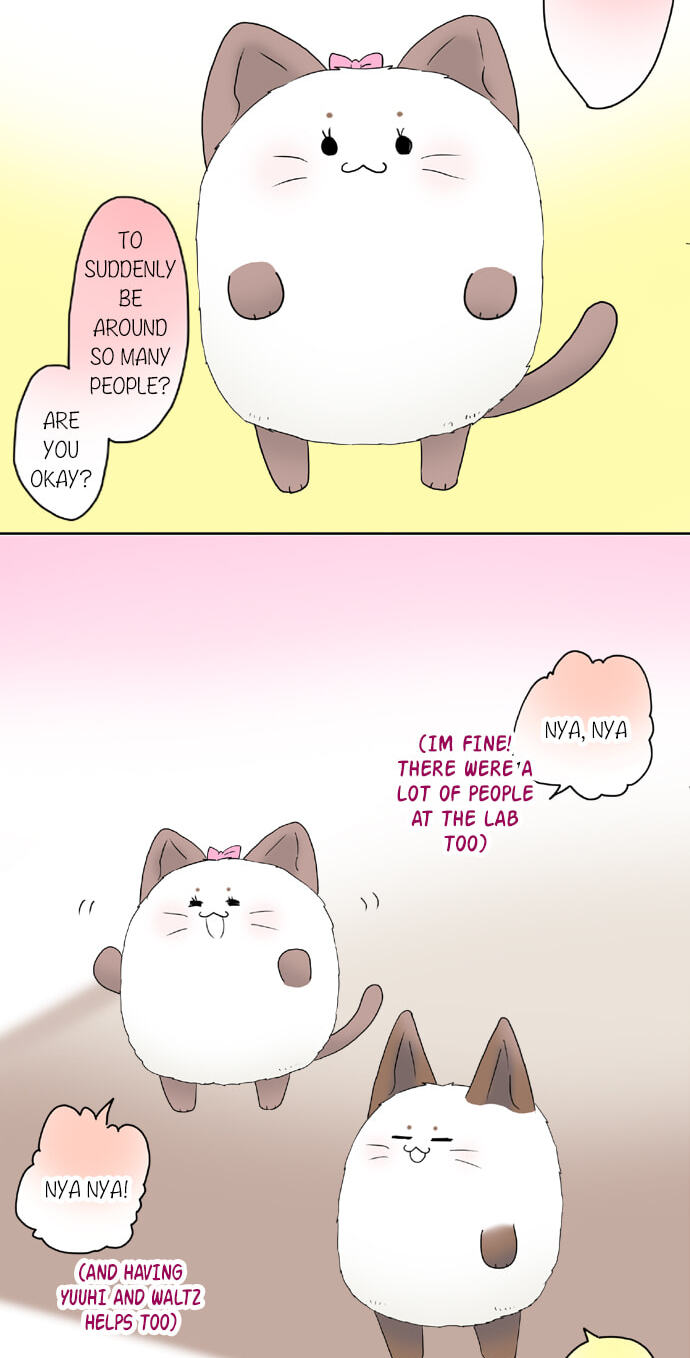 Read Kimi no Koe chapter 59 image 5 on Lezhin