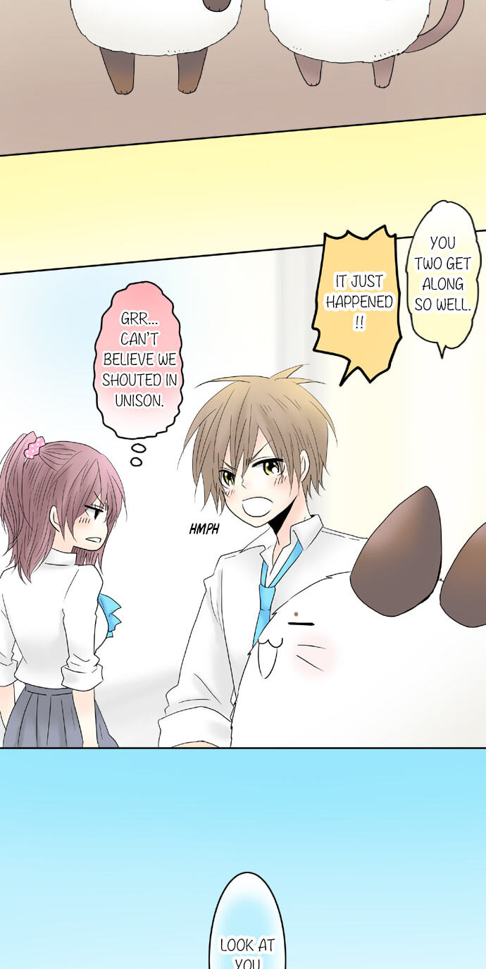Read Kimi no Koe chapter 60 image 11 on Lezhin