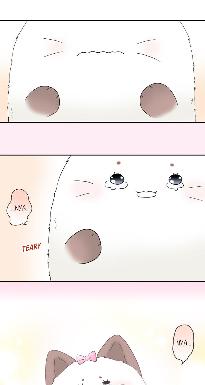 Read Kimi no Koe chapter 65 image 20 on Lezhin