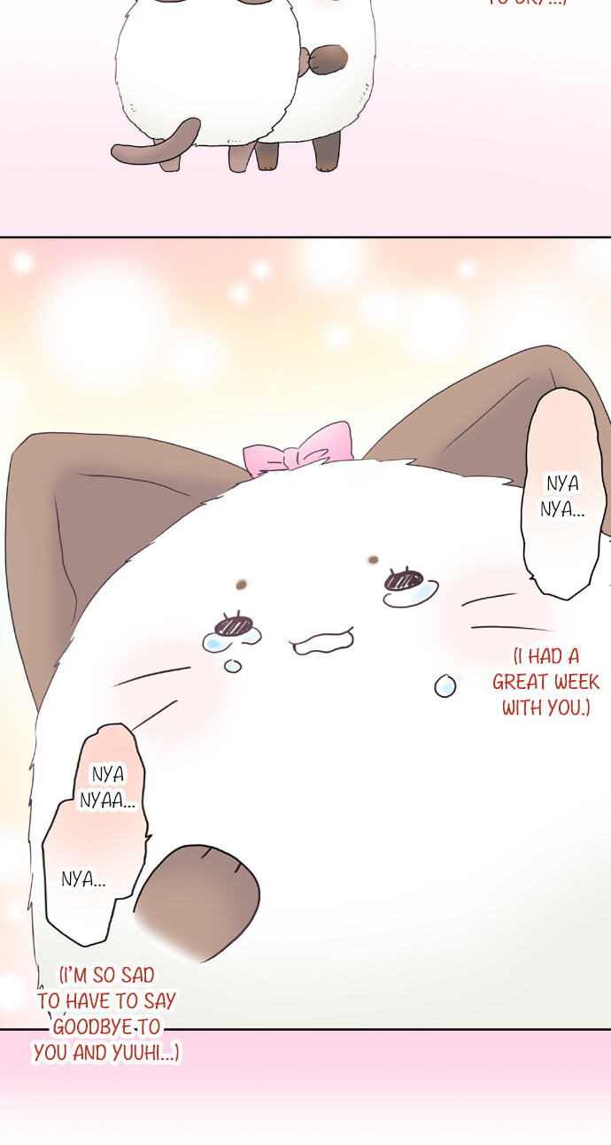 Read Kimi no Koe chapter 65 image 23 on Lezhin