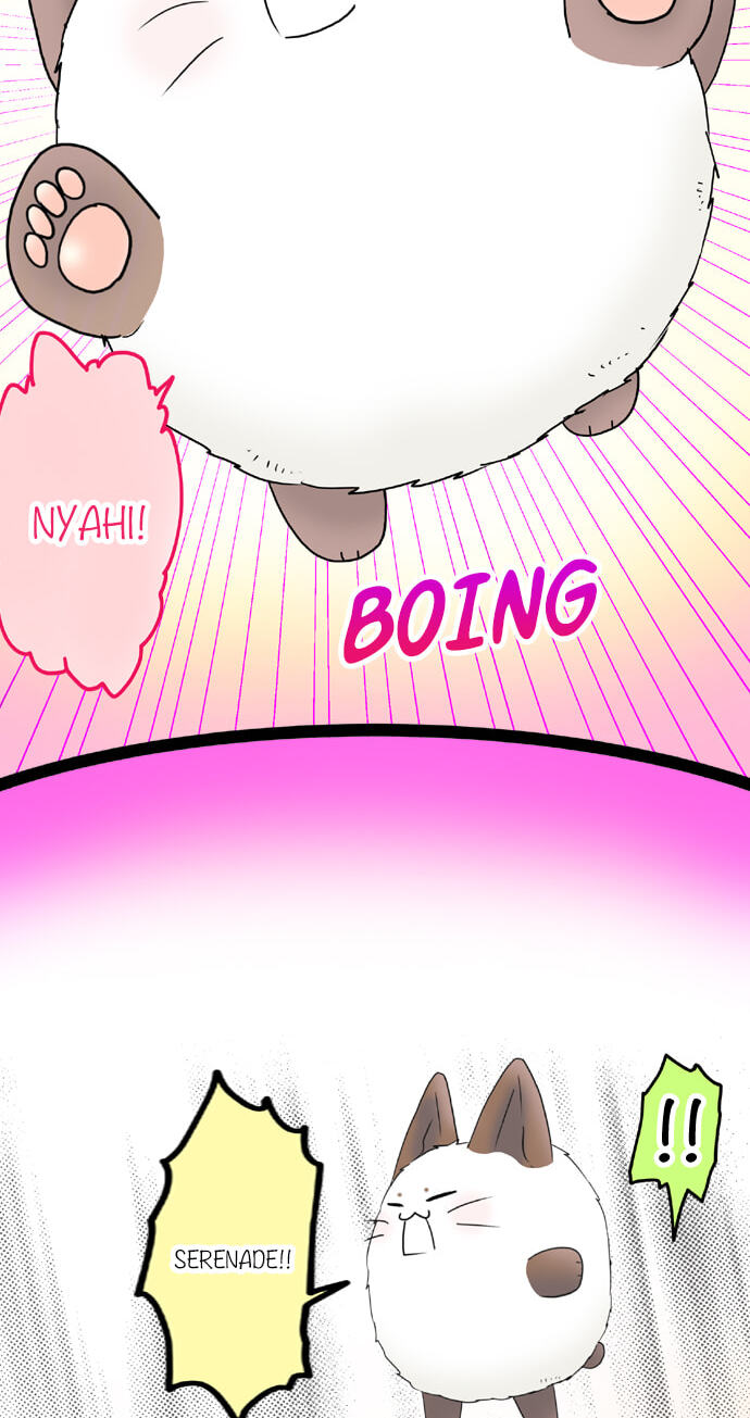 Read Kimi no Koe chapter 73 image 3 on Lezhin