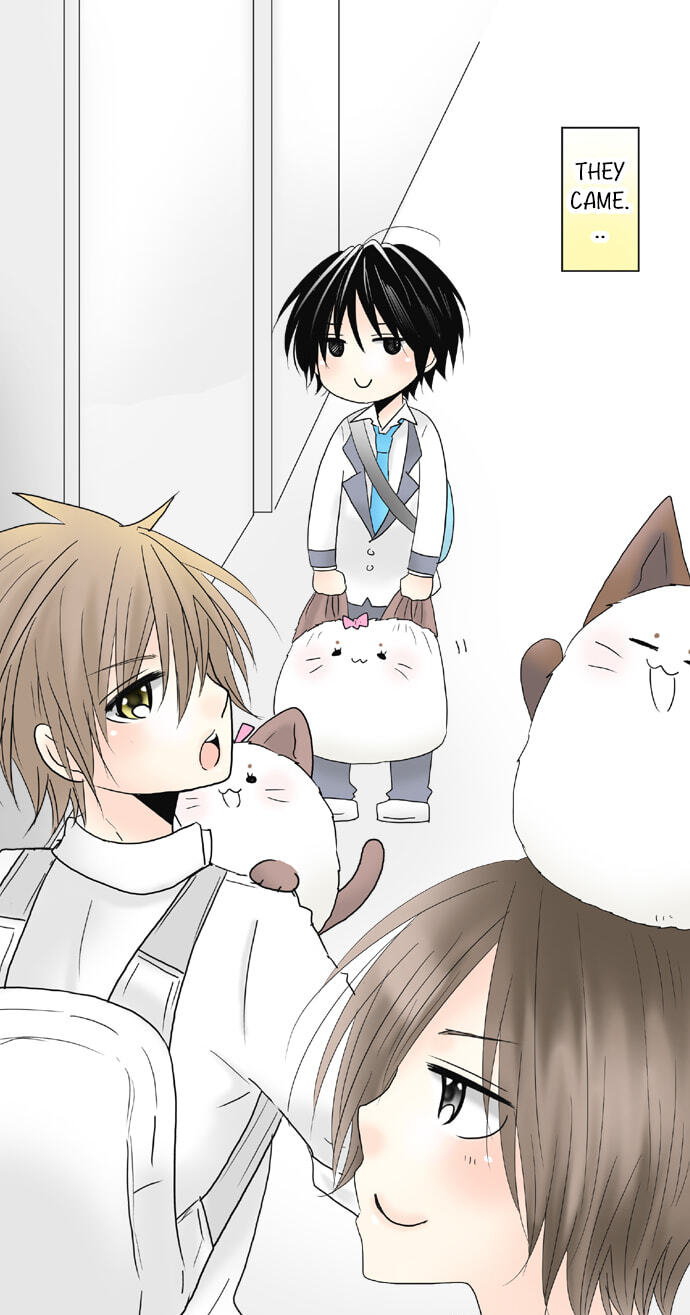 Read Kimi no Koe chapter 74 image 22 on Lezhin