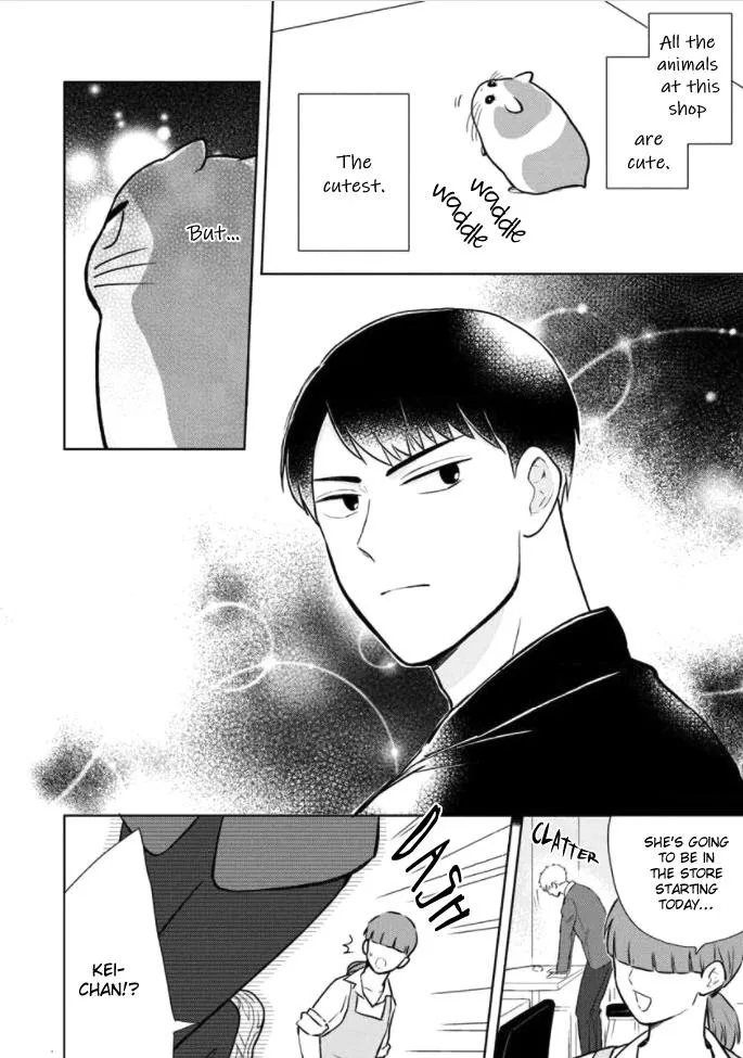 Kimi to Hamu Hamu shitai no da! Chapter 2 page 19 - 
