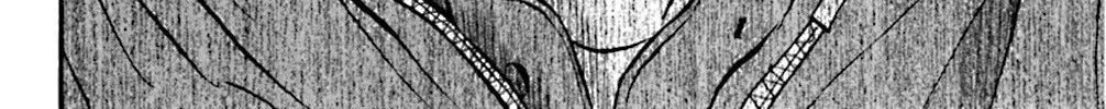 Read KING GOLF chapter 101 image 35 on Lezhin