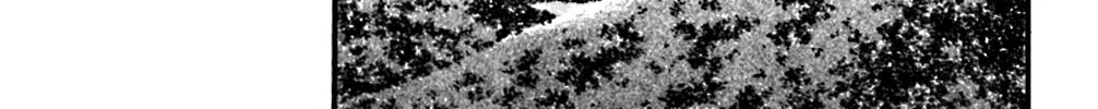 Read KING GOLF chapter 121 image 17 on Lezhin