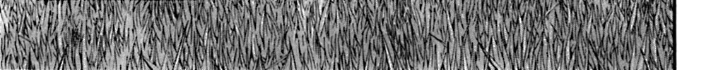 Read KING GOLF chapter 133 image 17 on Lezhin