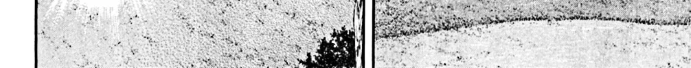 Read KING GOLF chapter 143 image 19 on Lezhin