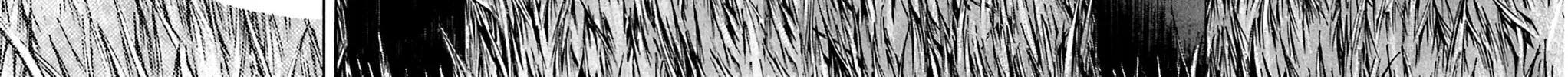 Read KING GOLF chapter 151 image 19 on Lezhin