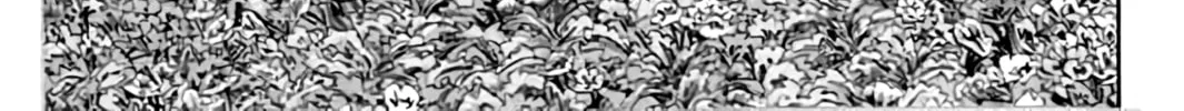 Read KING GOLF chapter 197 image 3 on Lezhin