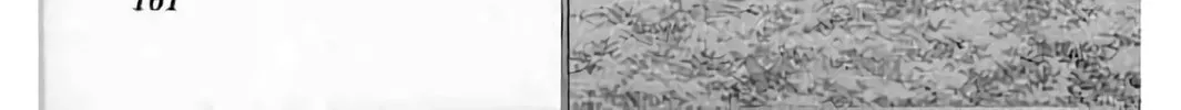 Read KING GOLF chapter 202 image 7 on Lezhin