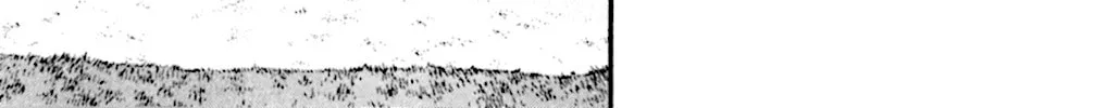 Read KING GOLF chapter 53 image 5 on Lezhin