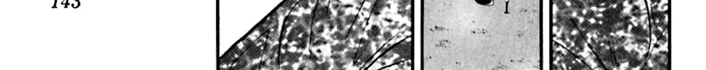 Read KING GOLF chapter 86 image 25 on Lezhin