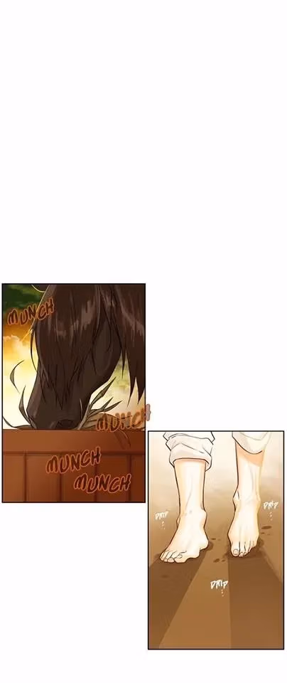 Read King