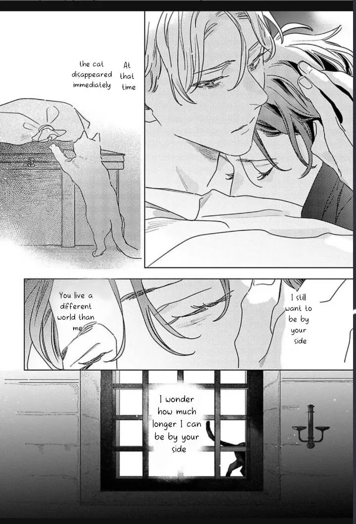 Kingin Sasameku Himitsu wa Yoru Chapter 2 page 23 - 