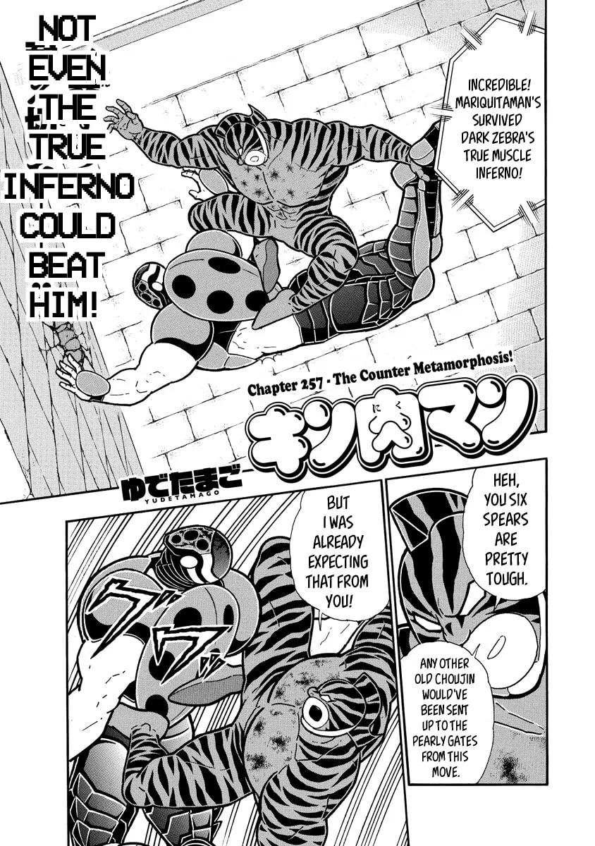 Read Kinnikuman chapter 648 image 0 on Lezhin