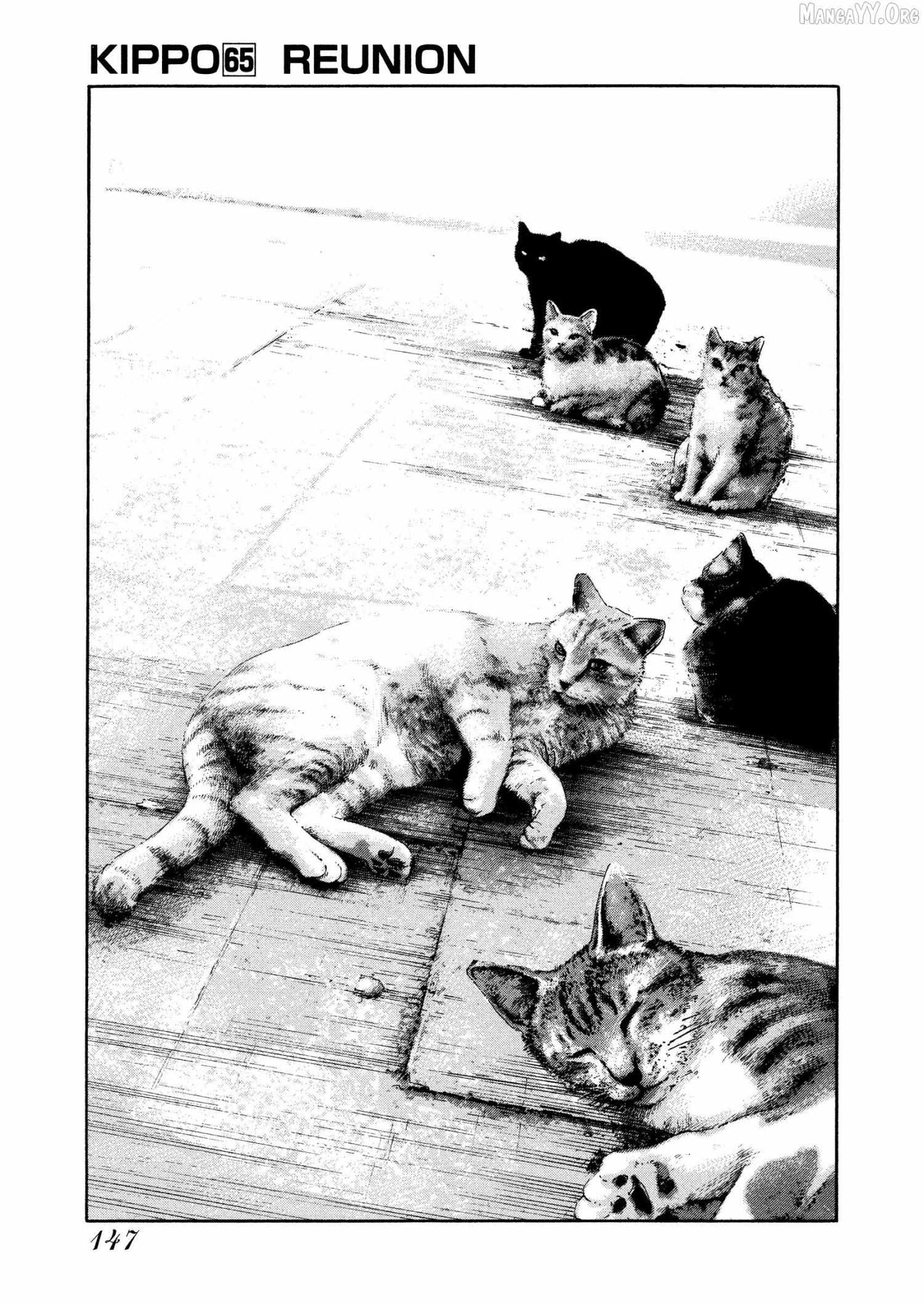 Read Kippo chapter 65 image 1 on Lezhin