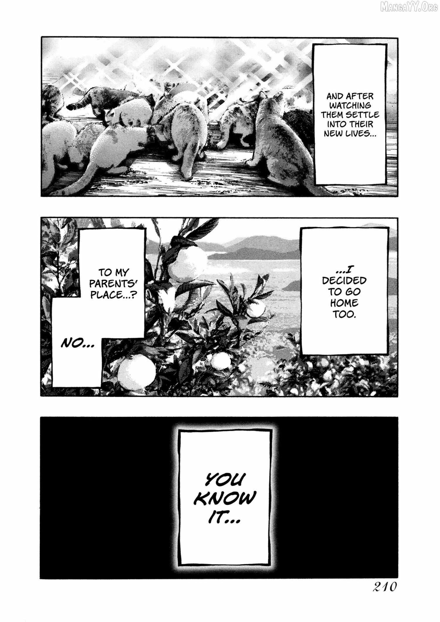 Read Kippo chapter 67 image 17 on Lezhin