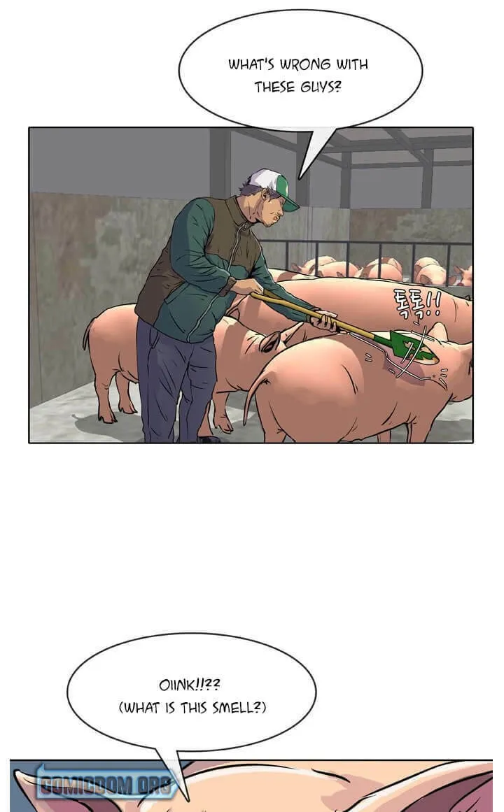 Read Kitchen Soldier chapter 14 image 54 on Lezhin
