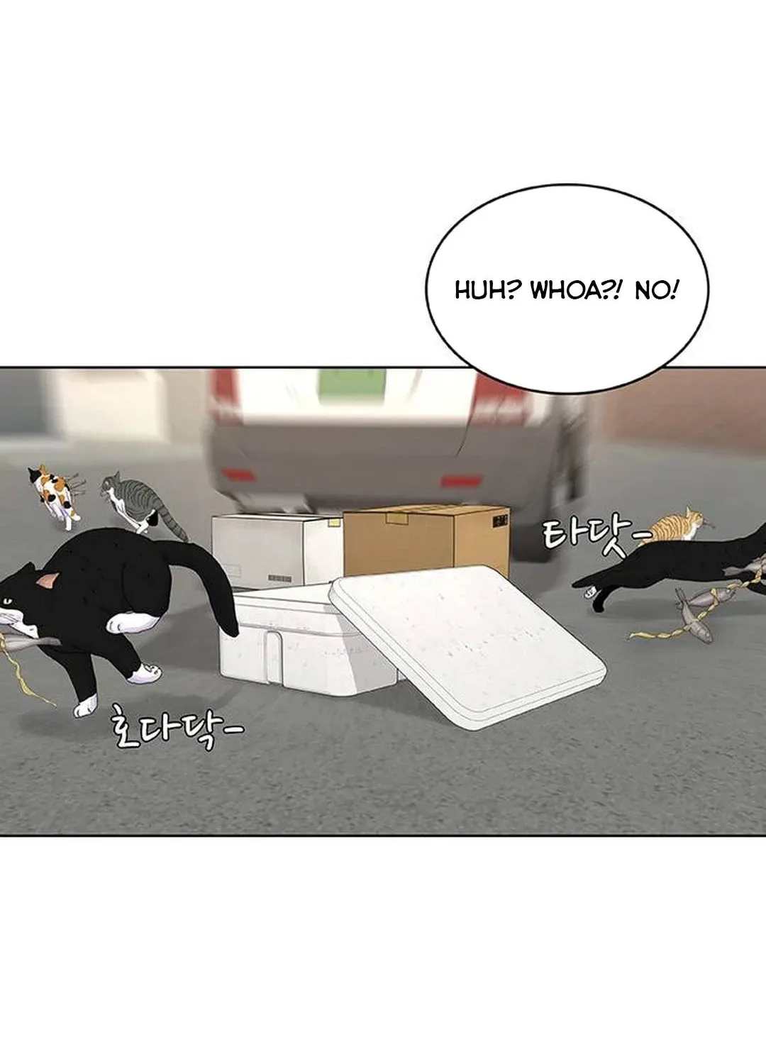 Read Kitchen Soldier chapter 168 image 15 on Lezhin
