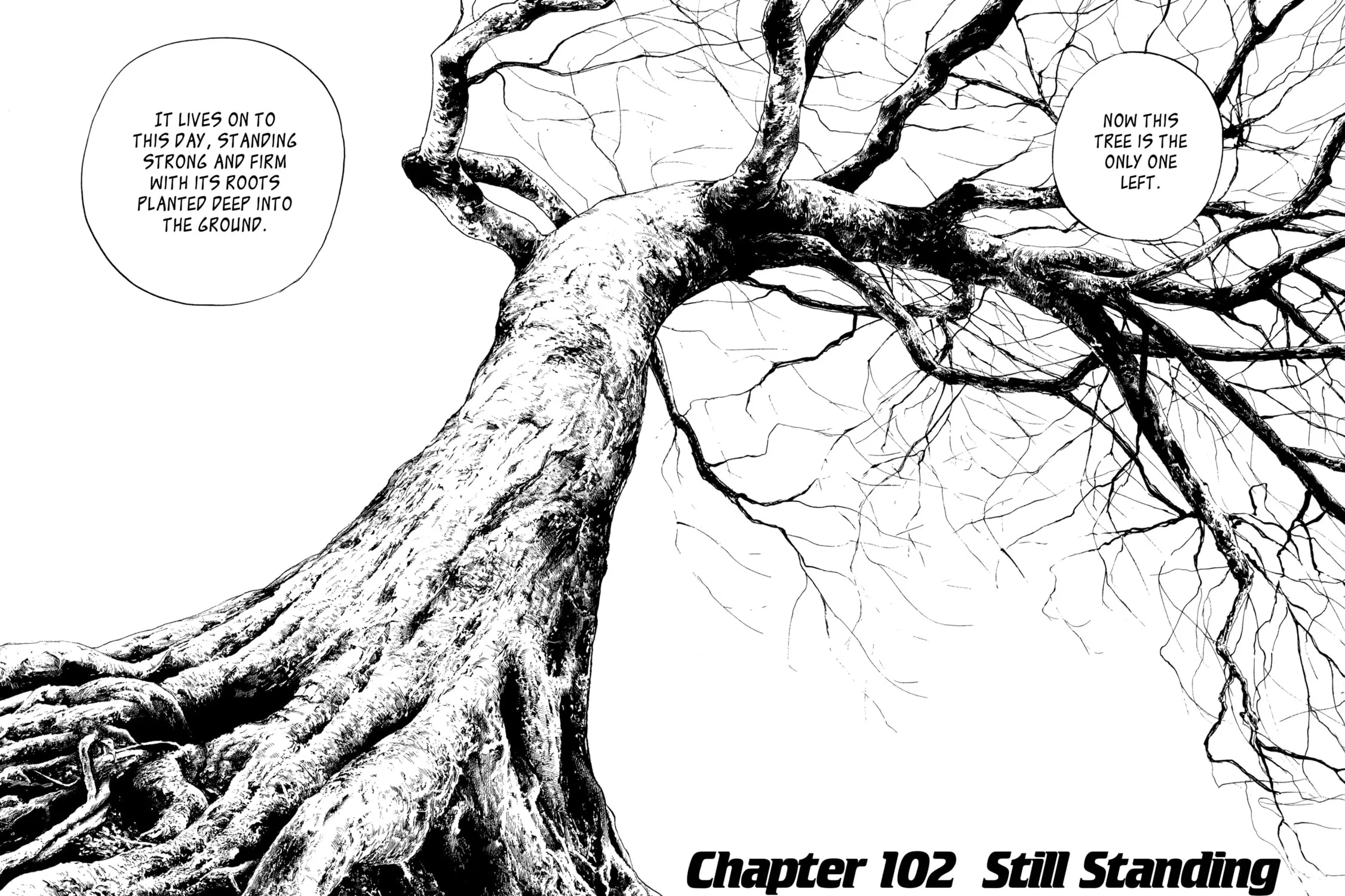 Read Kizu Darake no Jinsei chapter 102 image 2 on Lezhin