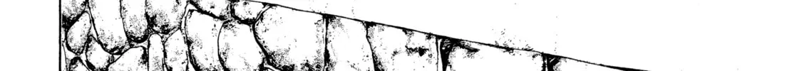 Read Kizu Darake no Jinsei chapter 22 image 41 on Lezhin