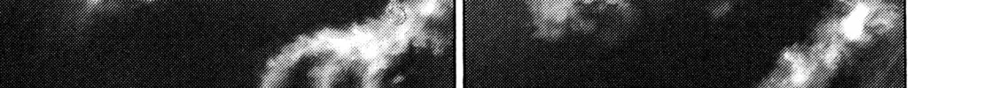 Read Kizu Darake no Jinsei chapter 35 image 9 on Lezhin