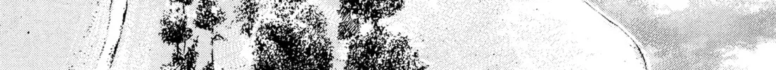 Read Kizu Darake no Jinsei chapter 62 image 45 on Lezhin